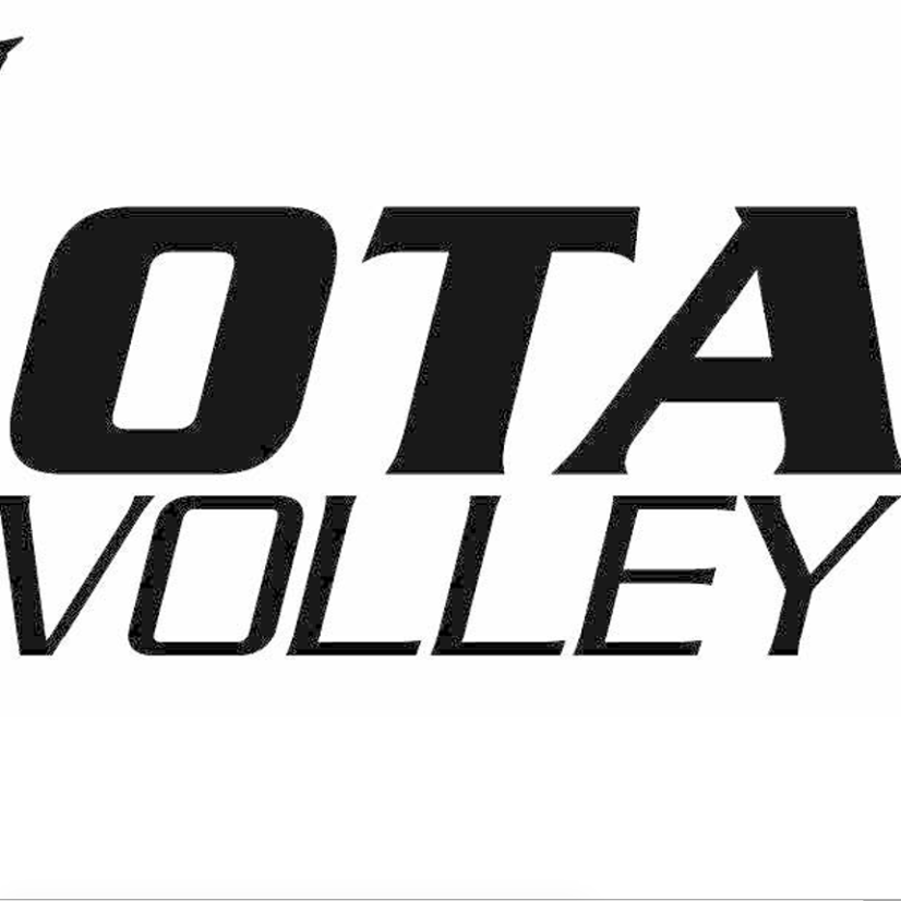 Club Logo OTA VOLLEY D2