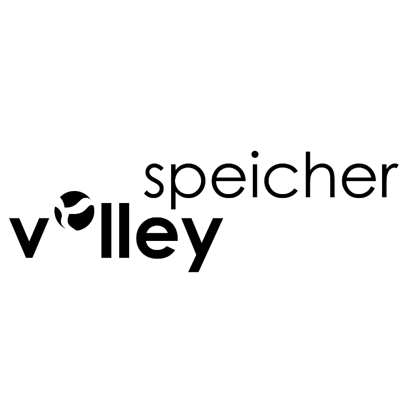 Club Logo Volley Speicher