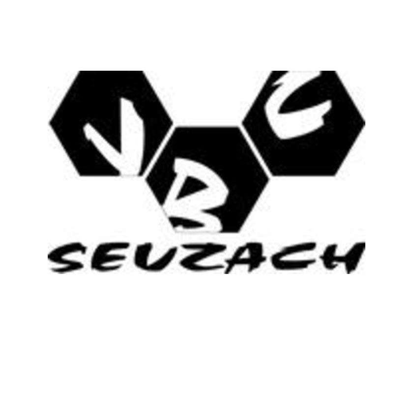 Club Logo VBC Seuzach 2