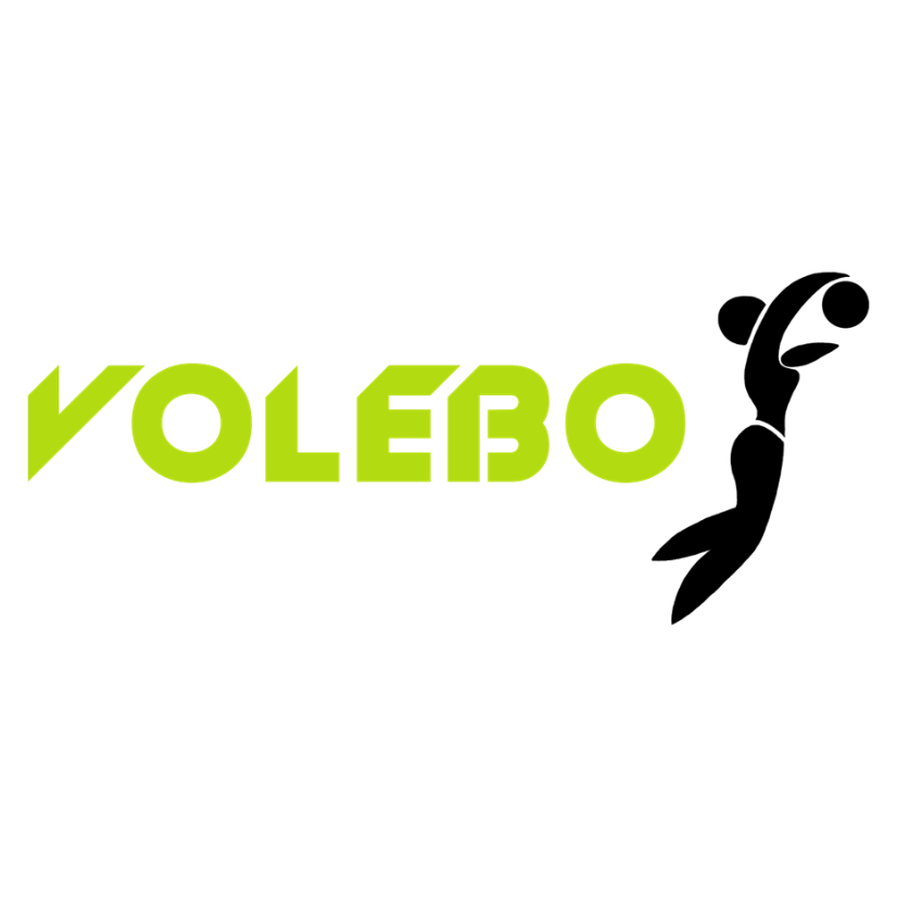 Club Logo VBC Volebo Freiamt 2