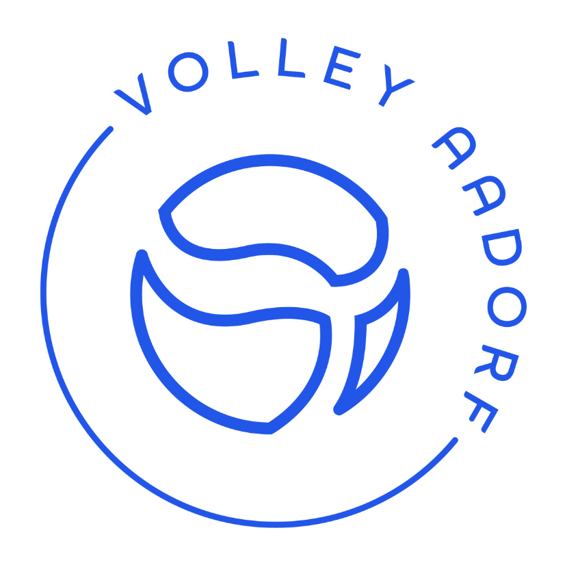 Club Logo Volley Aadorf 3