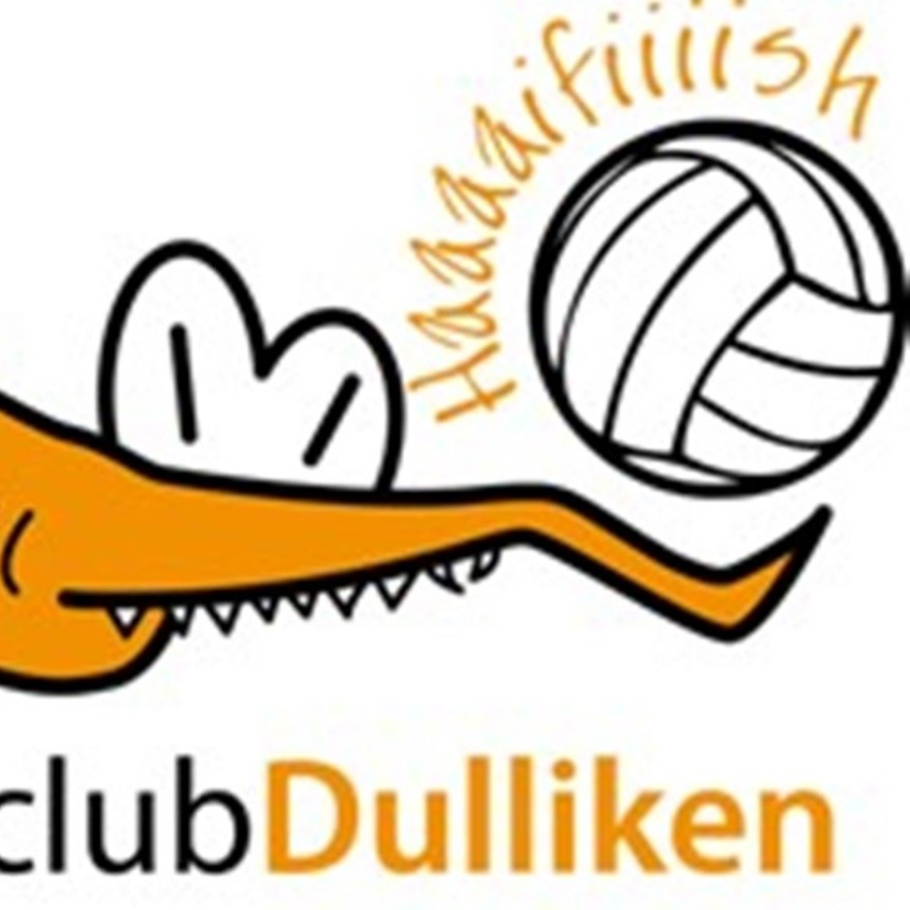 Club Logo VBC Dulliken