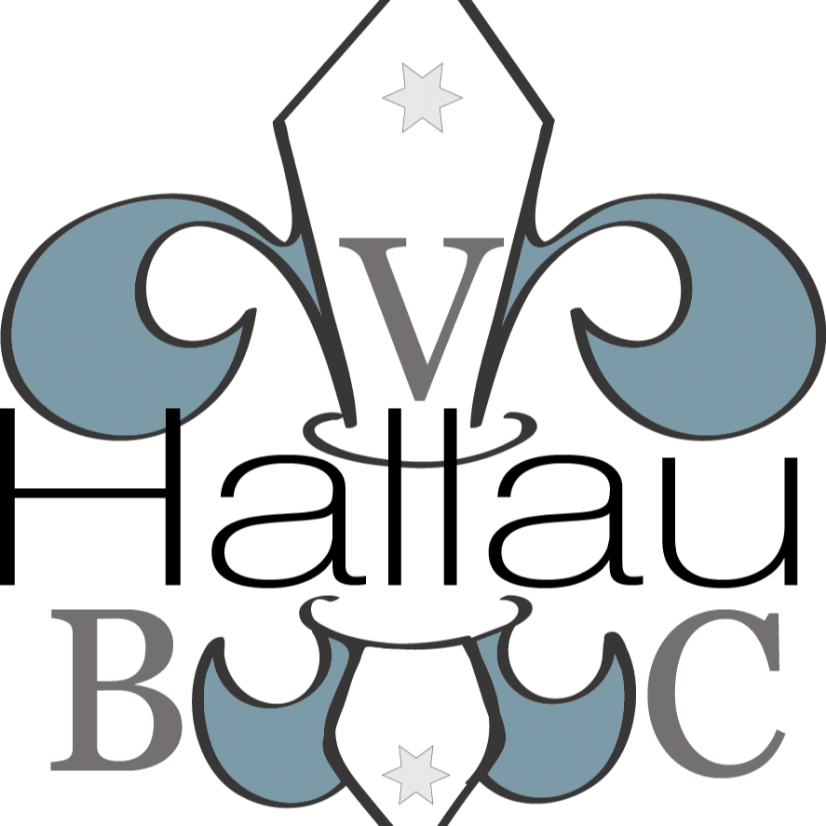 Club Logo VBC Hallau